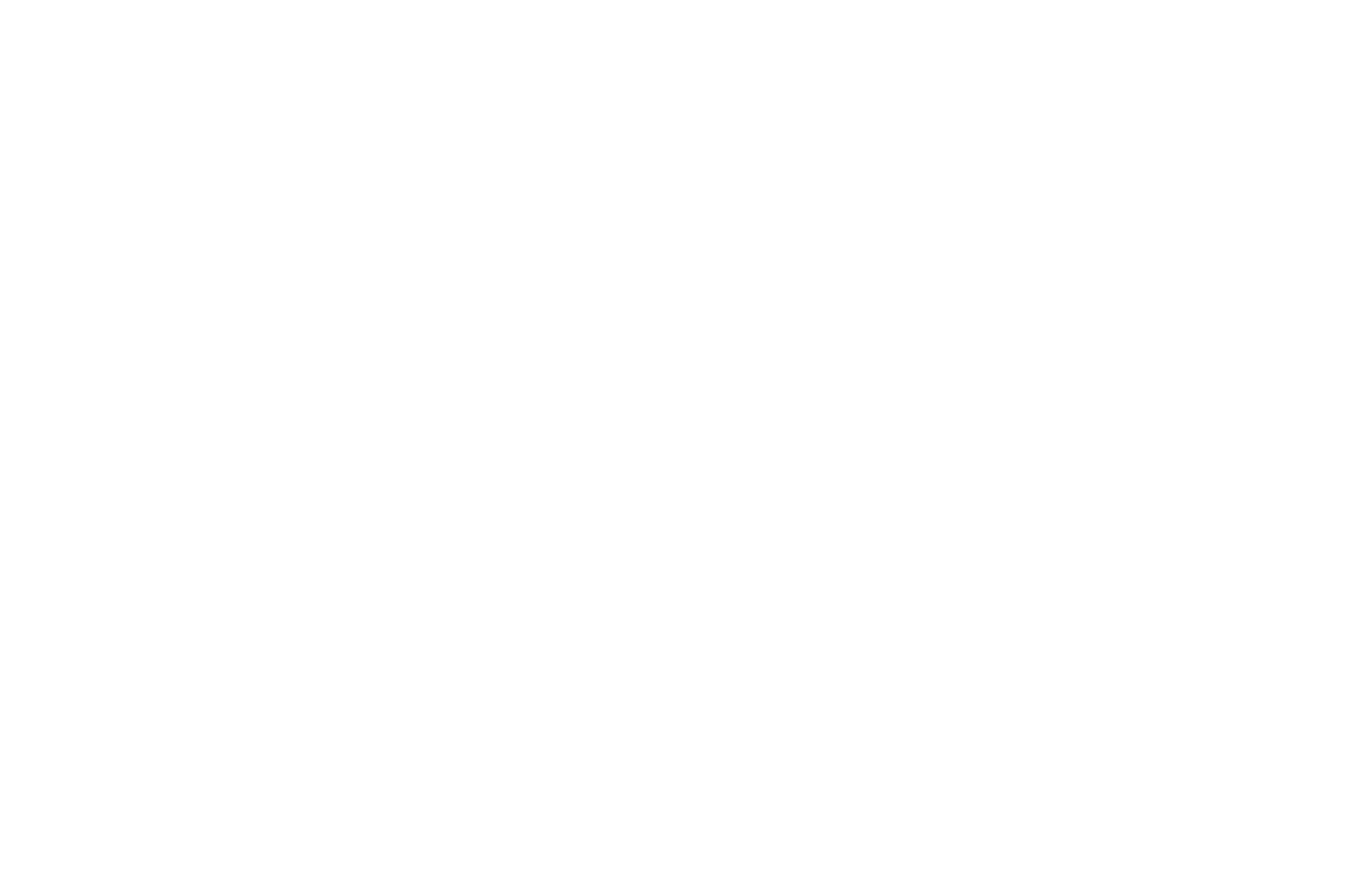 spidr logo
